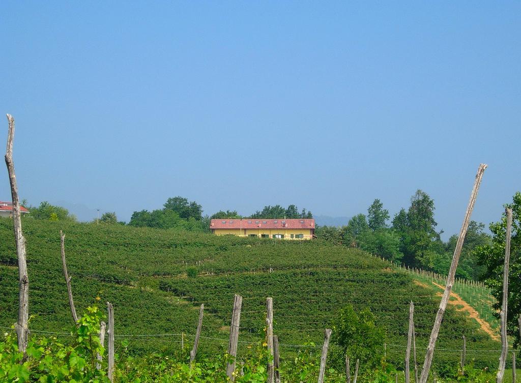 Agriturismo Turina Bricherasio Kültér fotó