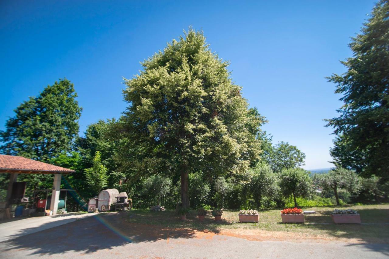 Agriturismo Turina Bricherasio Kültér fotó
