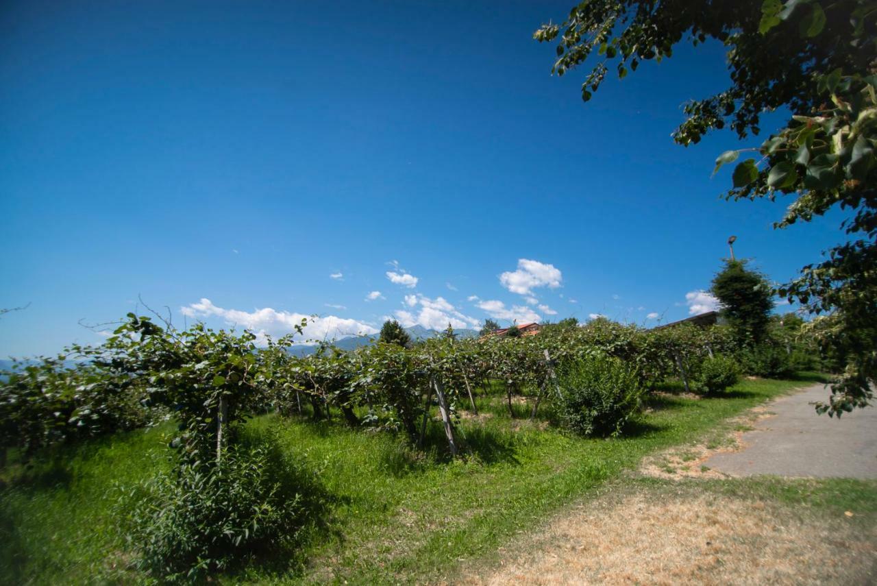 Agriturismo Turina Bricherasio Kültér fotó